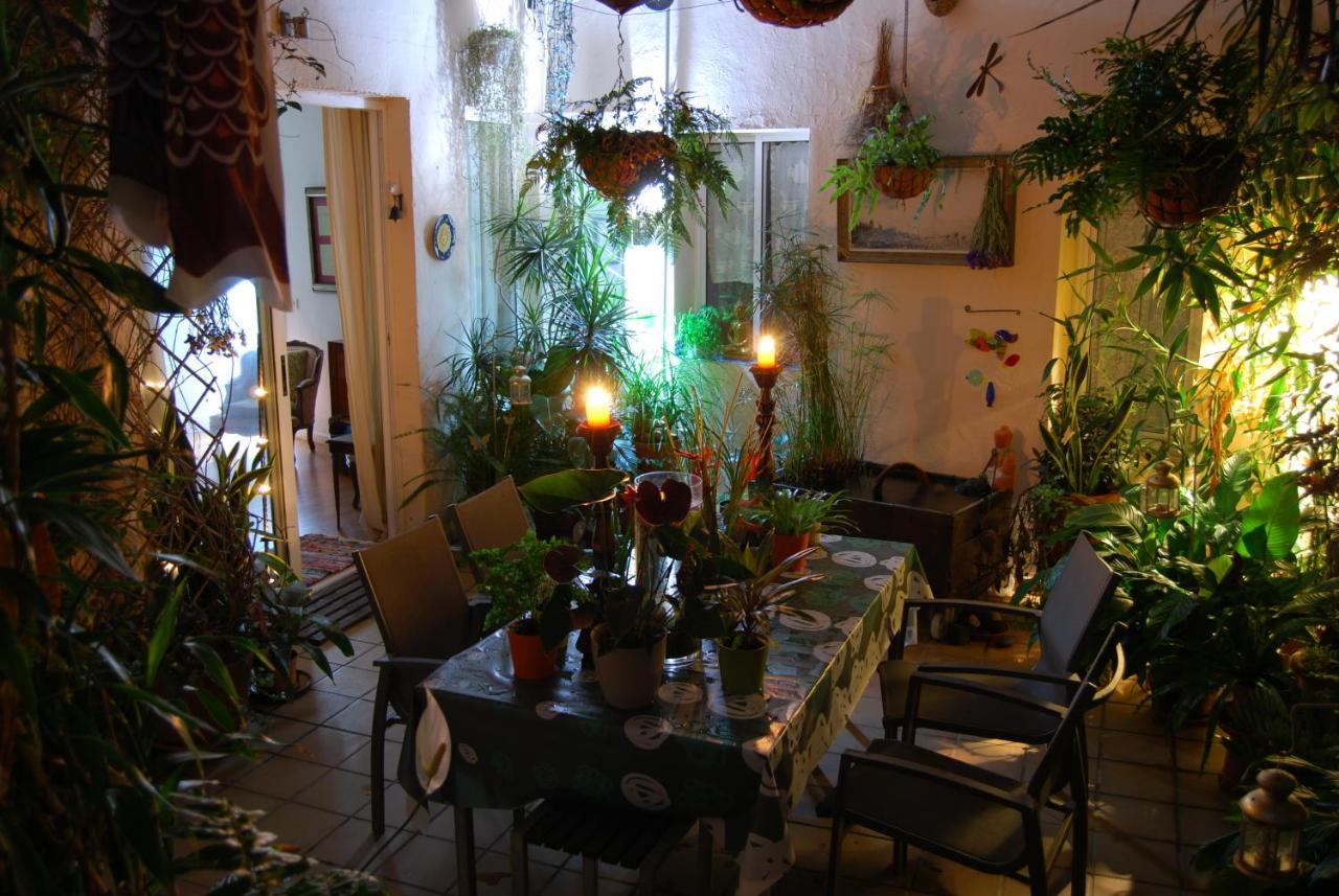 Villa Casa Tesalia à Güimar Extérieur photo